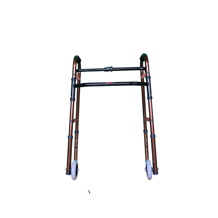 Walking frame rental with large unidirectional wheels and skis