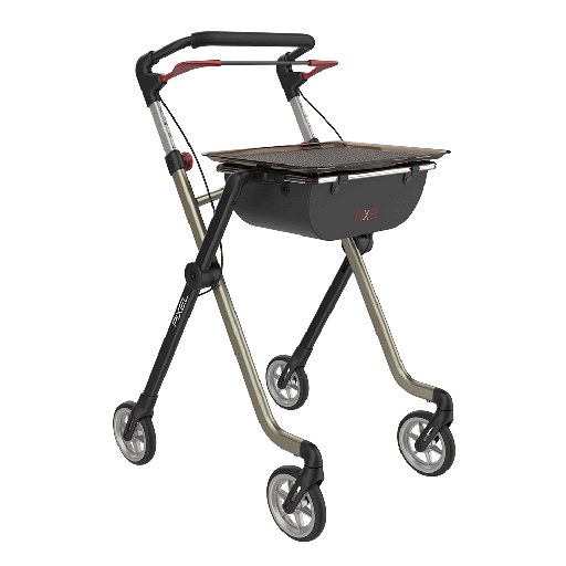 [1046] Indoor Rollator Rental